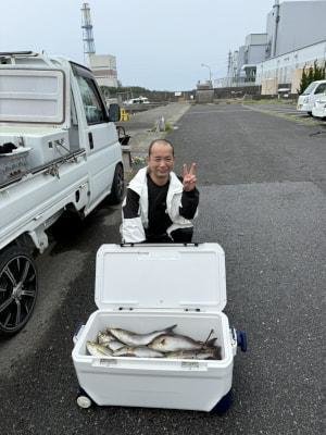 イサギ(イサキ)