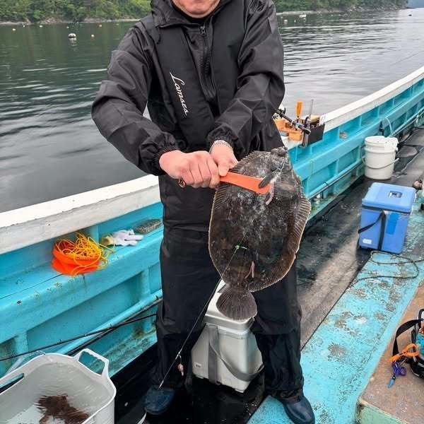 ナメタガレイ(ババガレイ)