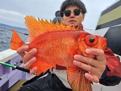 キントキ(チカメキントキ)