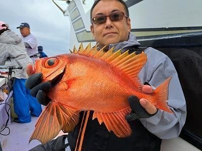 キントキ(チカメキントキ)