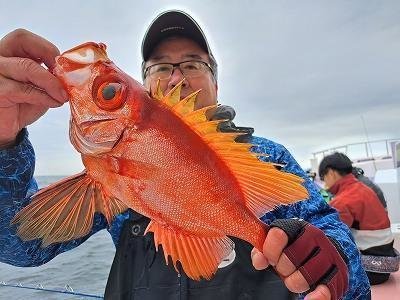 キントキ(チカメキントキ)