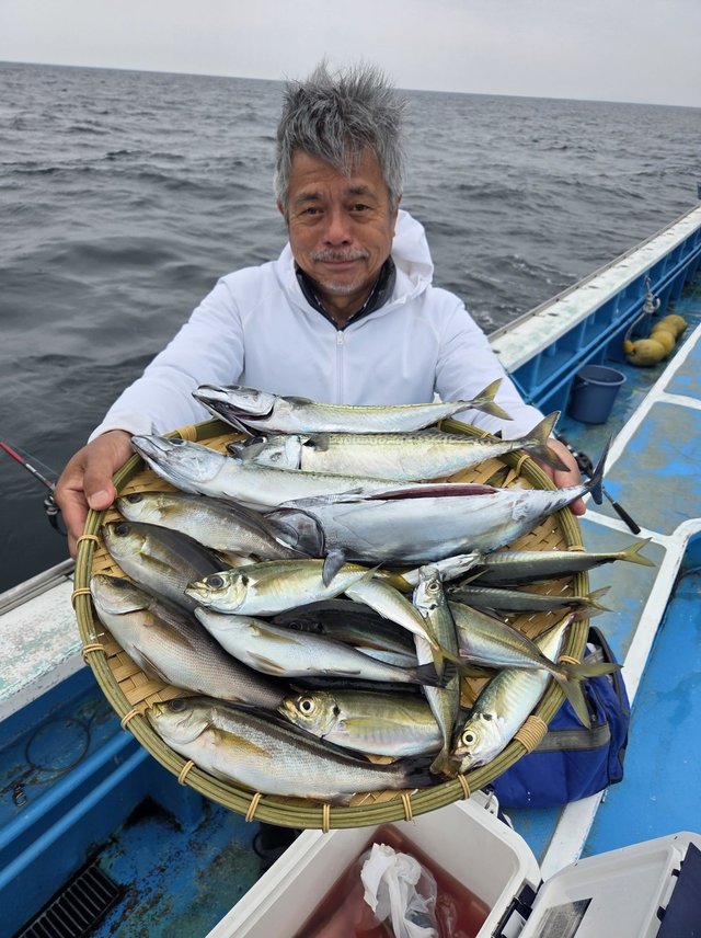 アジ(マアジ)・イサキ