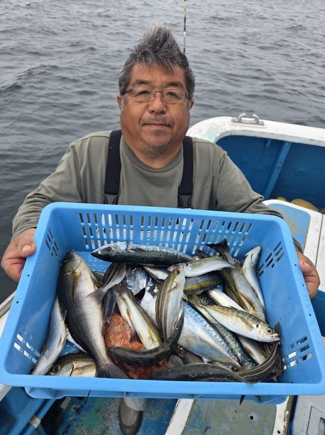 アジ(マアジ)・タカベ・イサキ