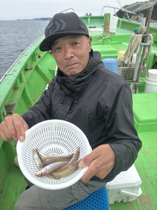 キス(シロギス)