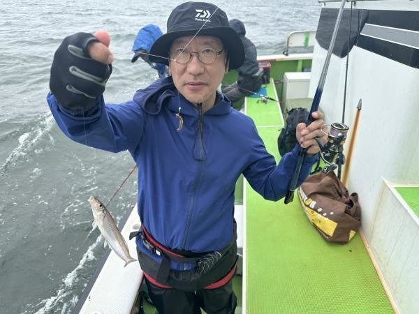 キス(シロギス)