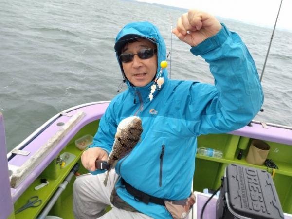 ショウサイフグ