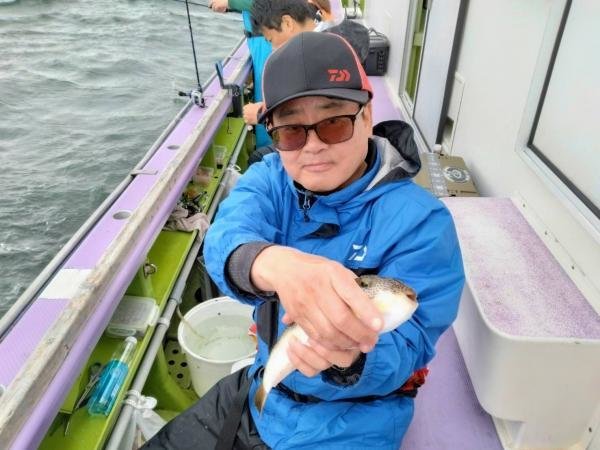 ショウサイフグ