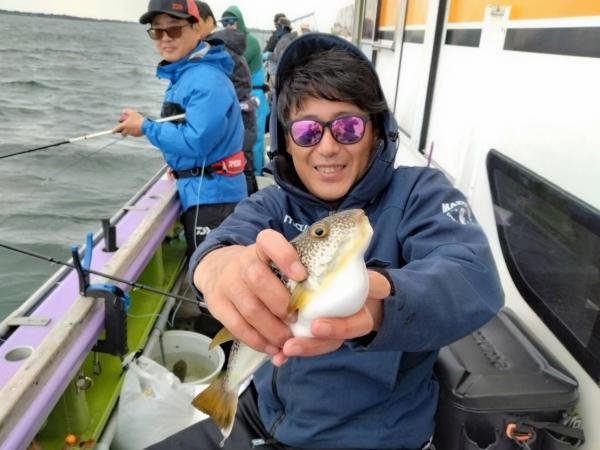 ショウサイフグ