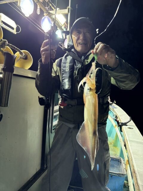 マイカ(ケンサキイカ)