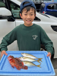 アジ(マアジ)・カサゴ