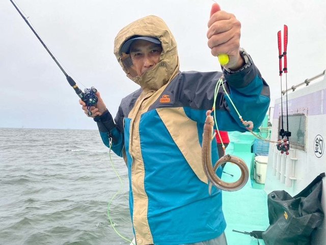 アナゴ(マアナゴ)