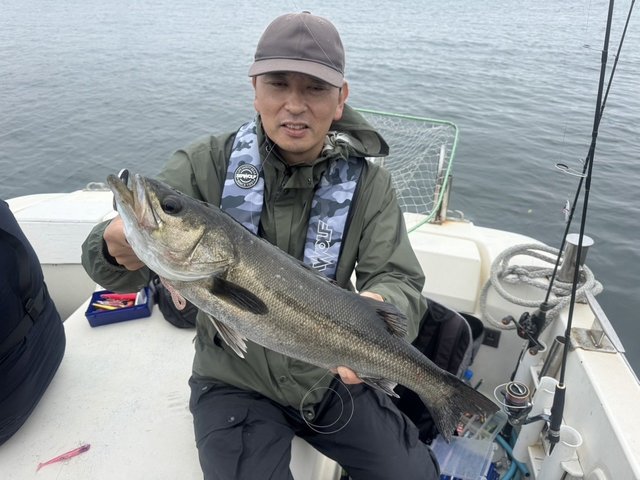 シーバス(スズキ)