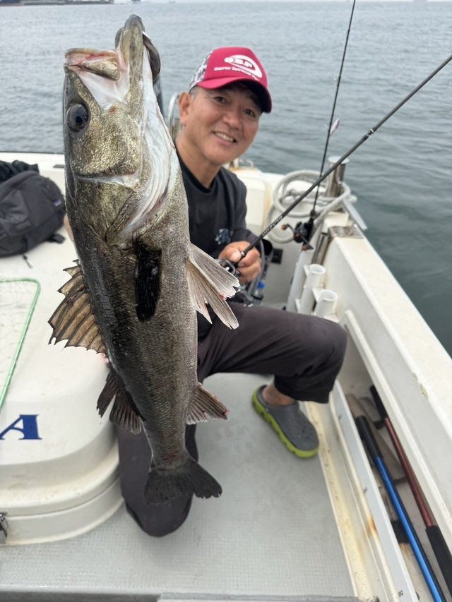 シーバス(スズキ)