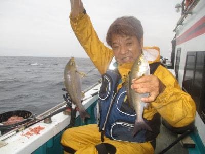 イサギ(イサキ)