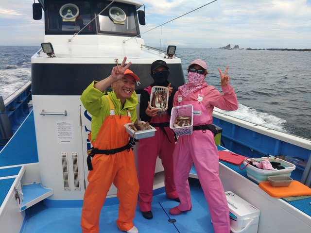 ムギイカ(スルメイカ)