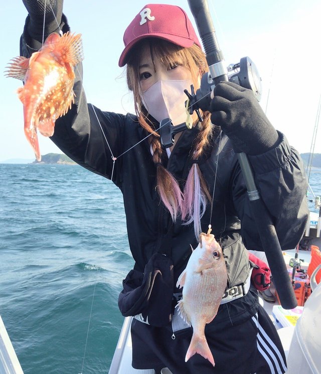 チャリコ(マダイ)・ガシラ(カサゴ)