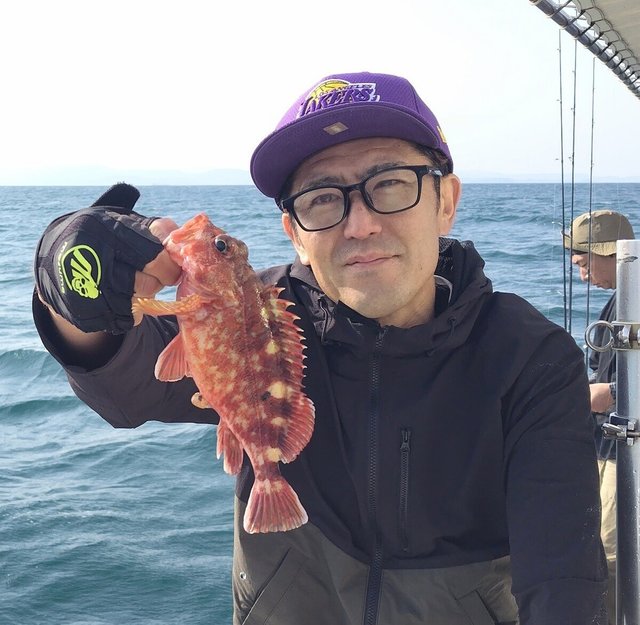 ガシラ(カサゴ)