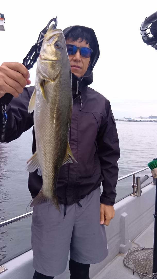 シーバス(スズキ)