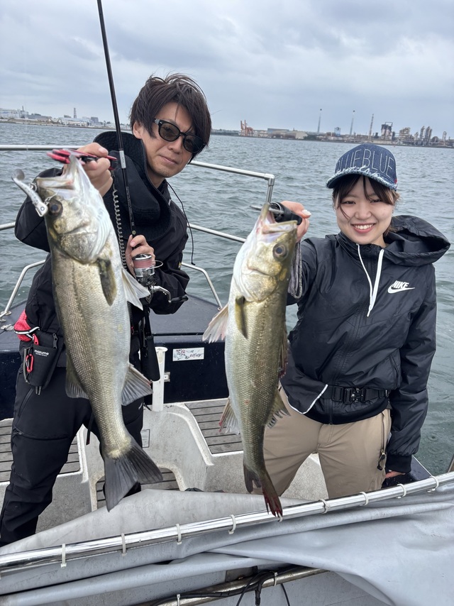 シーバス(スズキ)