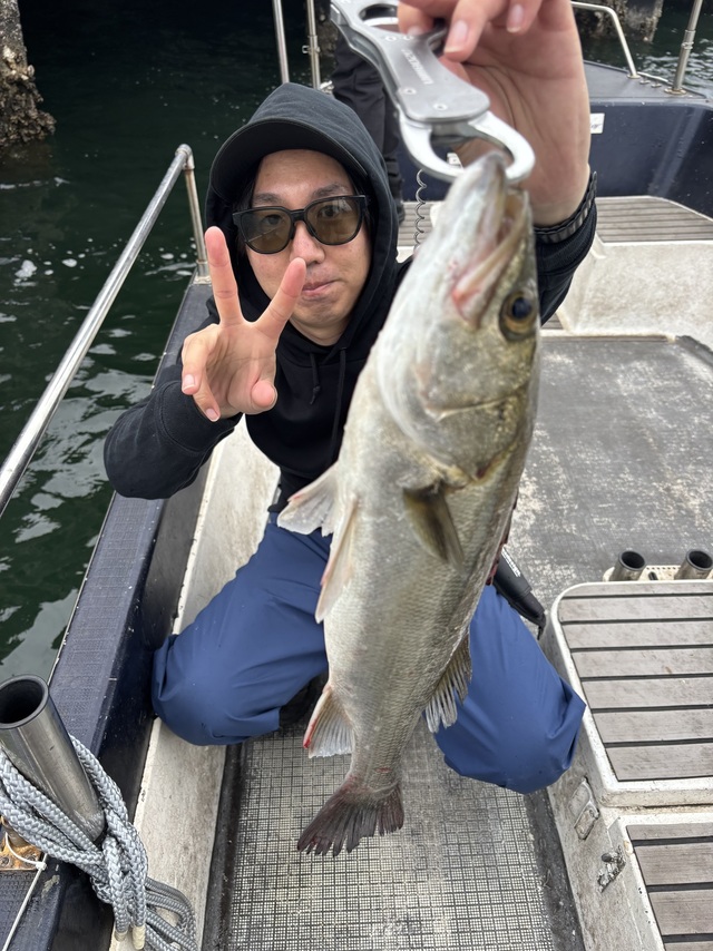 シーバス(スズキ)