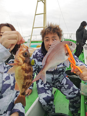 マダイ・メバル