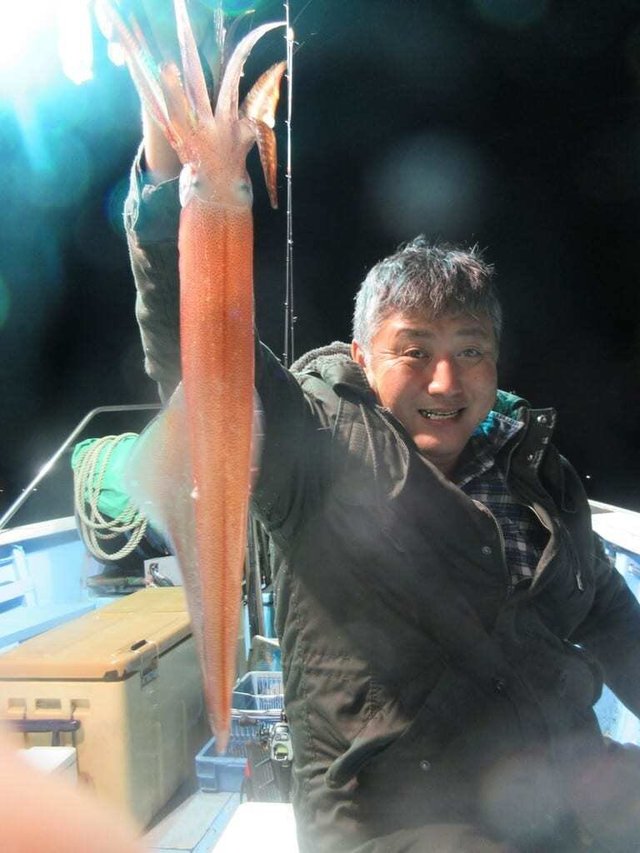 マイカ(ケンサキイカ)