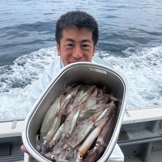 ムギイカ(スルメイカ)