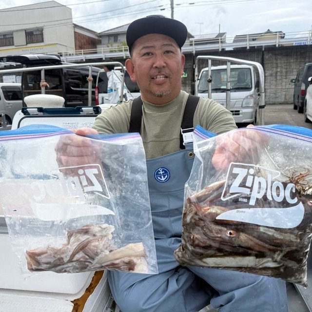 ムギイカ(スルメイカ)