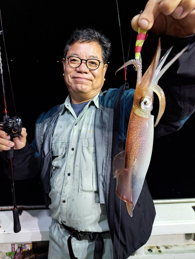 マイカ(スルメイカ)