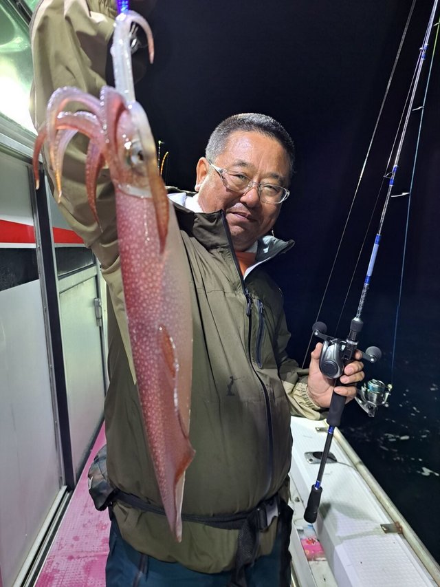 マイカ(スルメイカ)