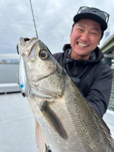 シーバス(スズキ)