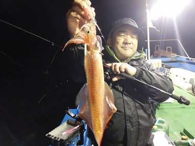 マイカ(ケンサキイカ)