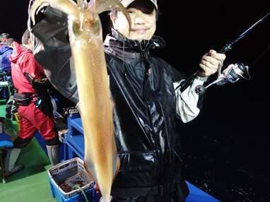 マイカ(ケンサキイカ)