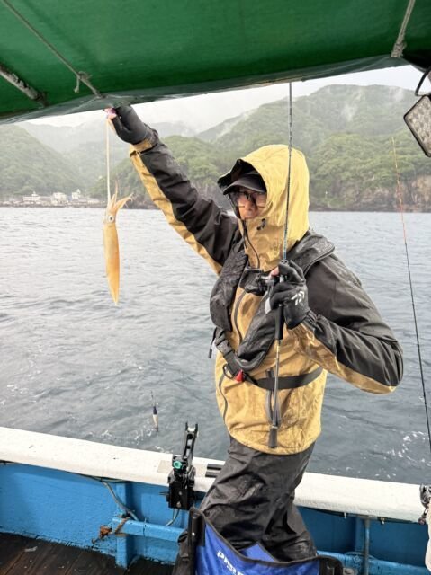 マイカ(ケンサキイカ)