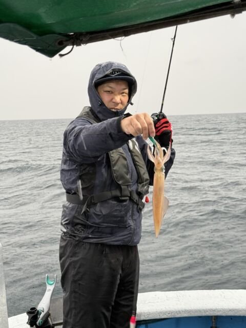 マイカ(ケンサキイカ)