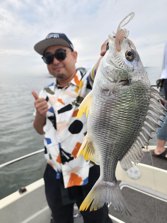 キビレ(キチヌ)