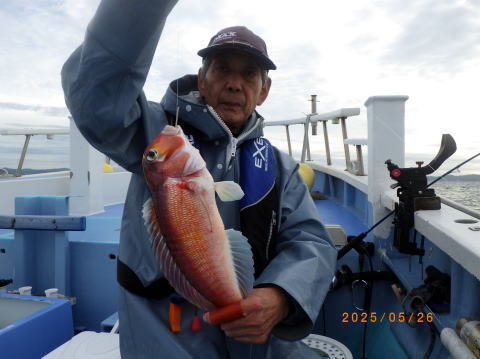 アマダイ(アカアマダイ)