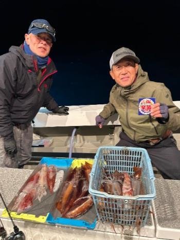 スルメイカ・マイカ(ケンサキイカ)