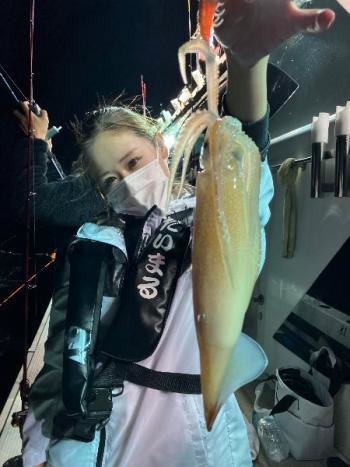 マイカ(ケンサキイカ)