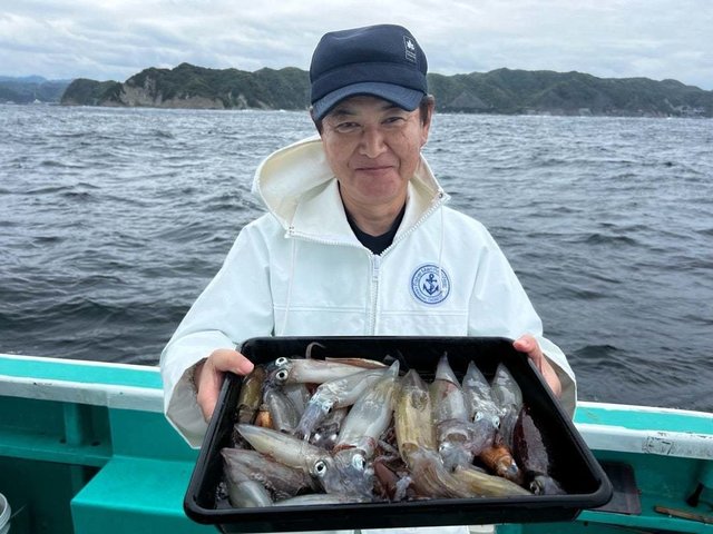 マルイカ(ケンサキイカ)・ムギイカ(スルメイカ)