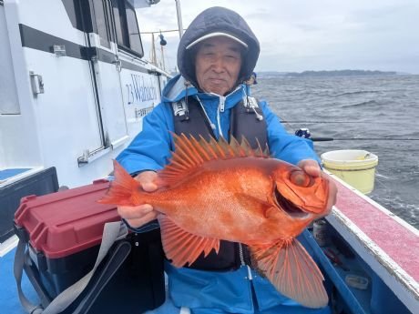 キントキ(チカメキントキ)