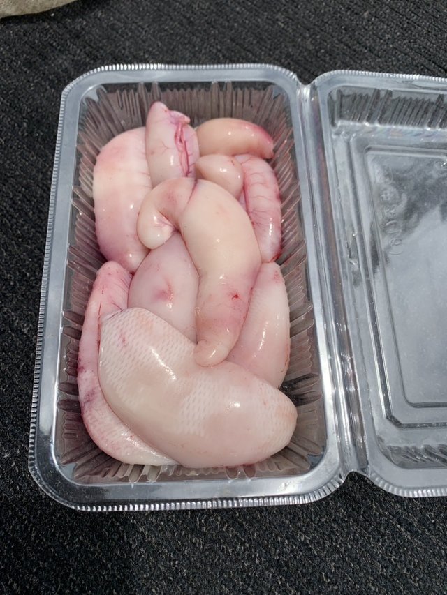 ショウサイフグ