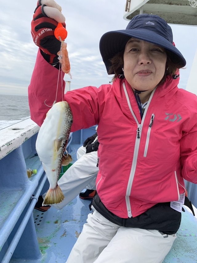 ショウサイフグ