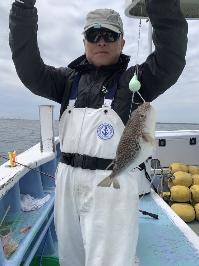 ショウサイフグ