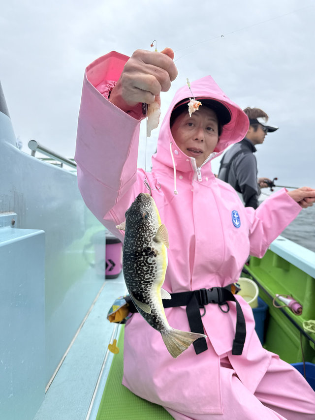 フグ(ショウサイフグ)