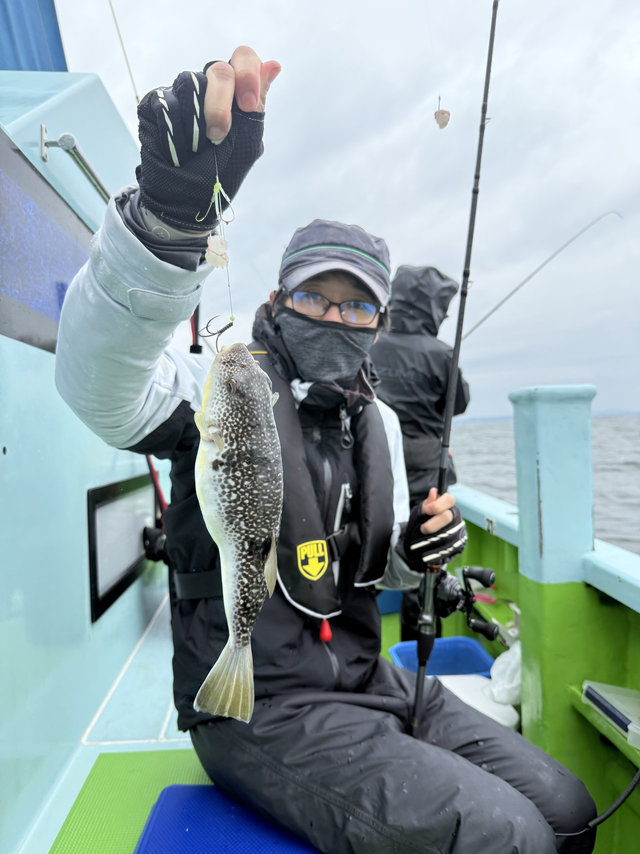 フグ(ショウサイフグ)