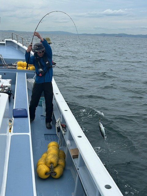 サバ(ゴマサバ)