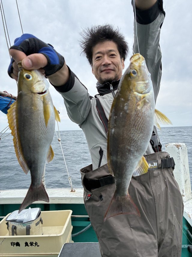 イサギ(イサキ)