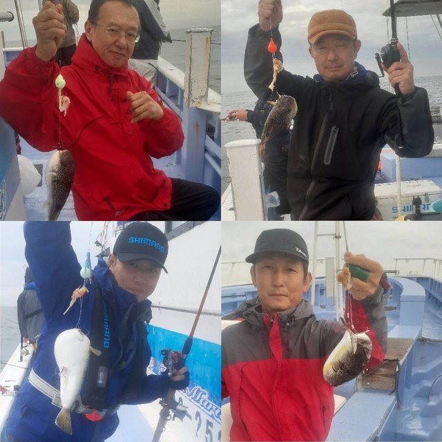 ショウサイフグ