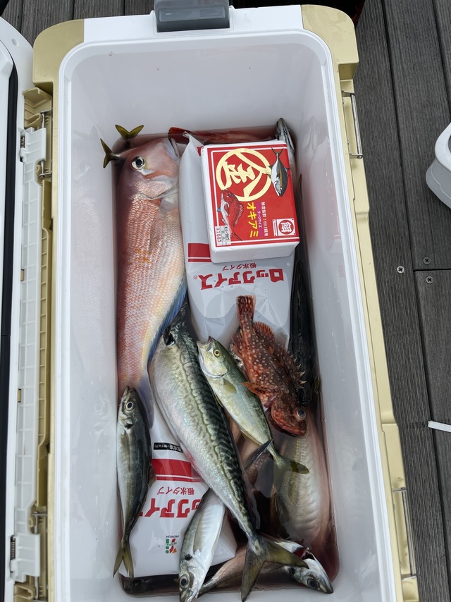 アジ(マアジ)・アマダイ(アカアマダイ)